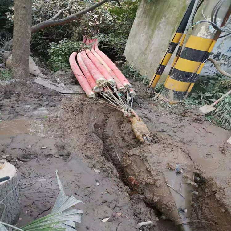 大连武汉焊接涂装线拖拉管